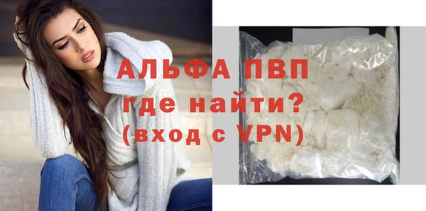 стаф Белокуриха
