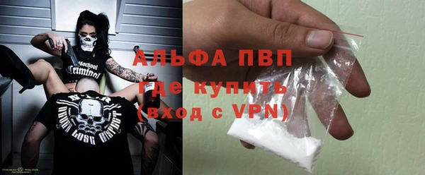 стаф Белокуриха