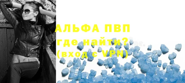 стаф Белокуриха