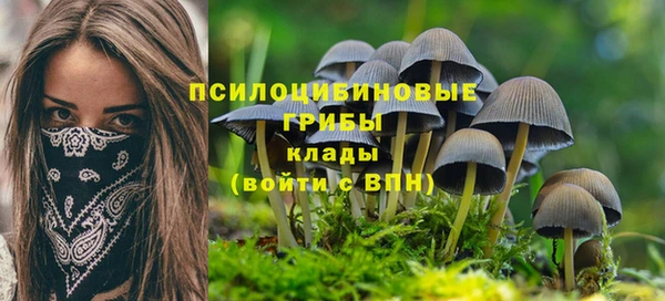стаф Белокуриха