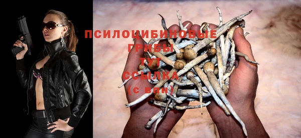 стаф Белокуриха