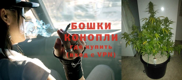 стаф Белокуриха