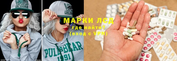 стаф Белокуриха