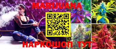 прущие грибы Малгобек