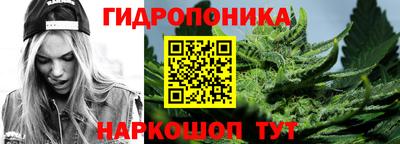 прущие грибы Малгобек