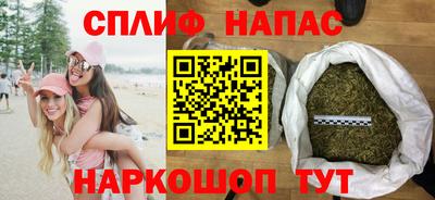 прущие грибы Малгобек