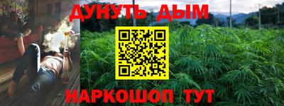 прущие грибы Малгобек