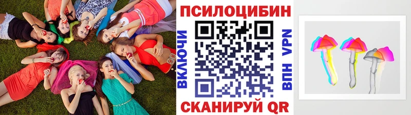 что такое   Вязьма  Псилоцибиновые грибы ЛСД 