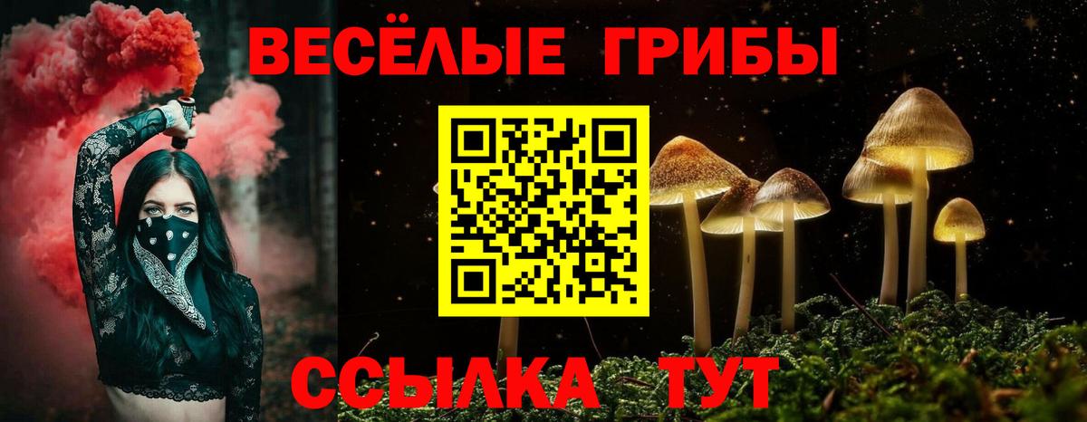 Псилоцибиновые грибы мухоморы Вязьма